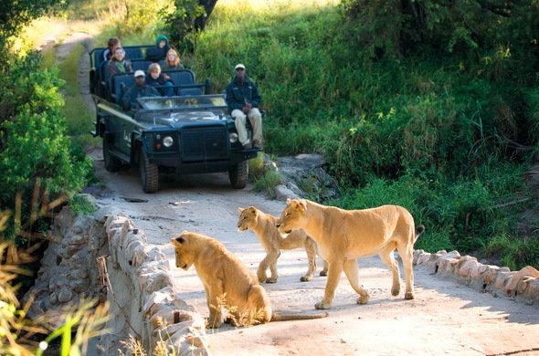 האזיביו Kruger Park Lodge 401 מראה חיצוני תמונה